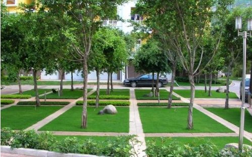 怎樣用植物生長(zhǎng)調(diào)節(jié)劑降低綠化養(yǎng)護(hù)成本